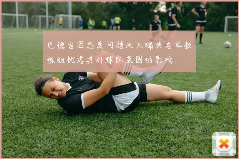 巴德吉因态度问题未入瑞典名单教练组忧虑其对球队氛围的影响